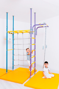 gymnastics wall bars pegasus purple