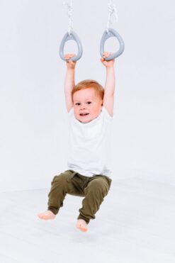 gymnastic rings gray