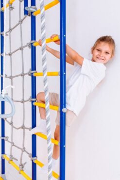 wall mounted pull up bar blue