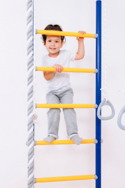 wall mounted pull up bar with accessories blue