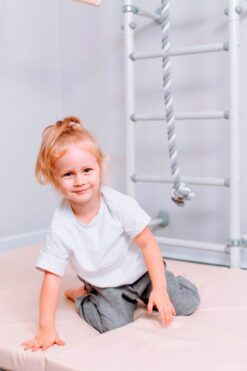 wallbars comet next 1 gymnastic mat