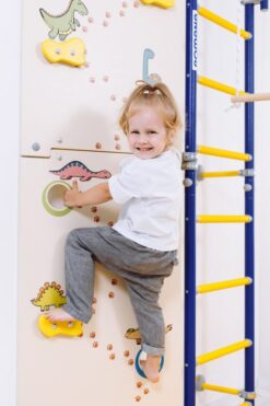 climbing wall dino to wallbars