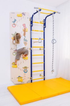 climbing_wall_dino_with_comet_next_1