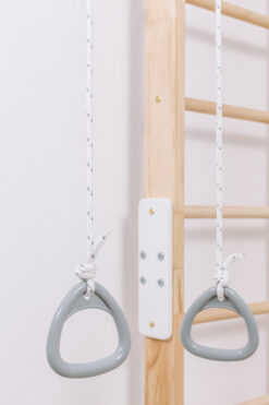 training rings eco 2