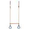 gymnastic ring with trapeze