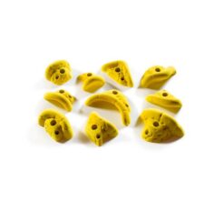 odyssey holds yellow