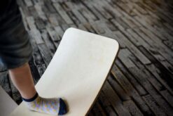 Alternative view of Balance Board Profi