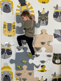 climbing wall Puzzle indoor