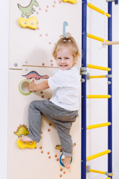 wall bars Comet Next 1 climbing wall Dino for kids