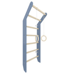 wallbars toddler
