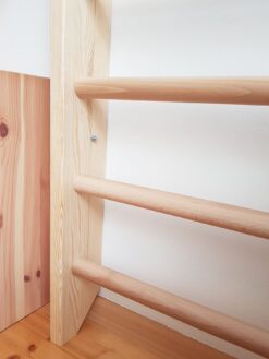 ladder