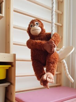 monkey