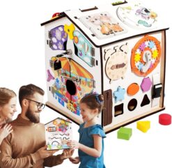 manipulation board House 6