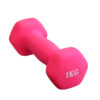 dumbbells 1 kg X sport 1