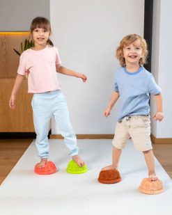 Alternative view of Balance-Halbkugel Schildkröte