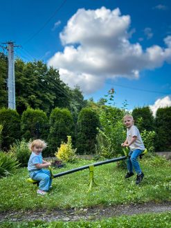 Alternative view of Wippe DeLuxx