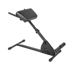 Hyperextensionsbank Flexter Profi