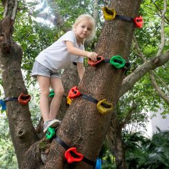 Alternative view of Klettergriffe für Baum mit Gurten, 15-teiliges Set