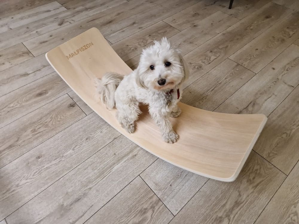 Balance Board Lama Smile – Bild 3