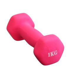 Kurzhanteln 1 kg X-sport
